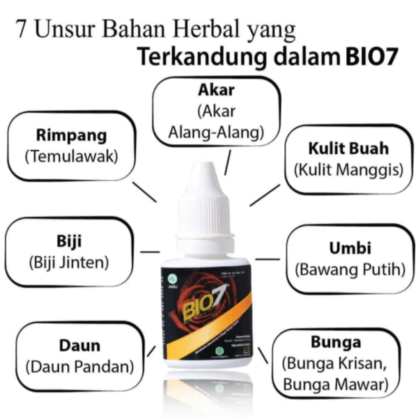 BIO 7 JAMU TETES ORIGINAL 100% - Gambar 4
